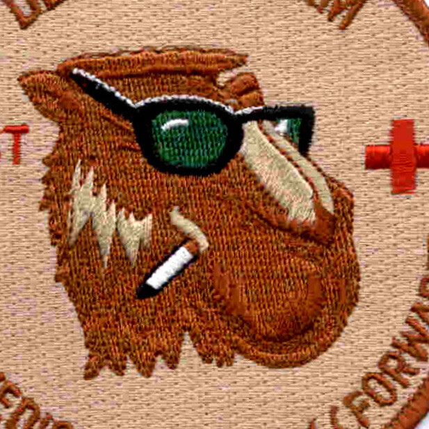 159th Medical Company (Forward) Patch