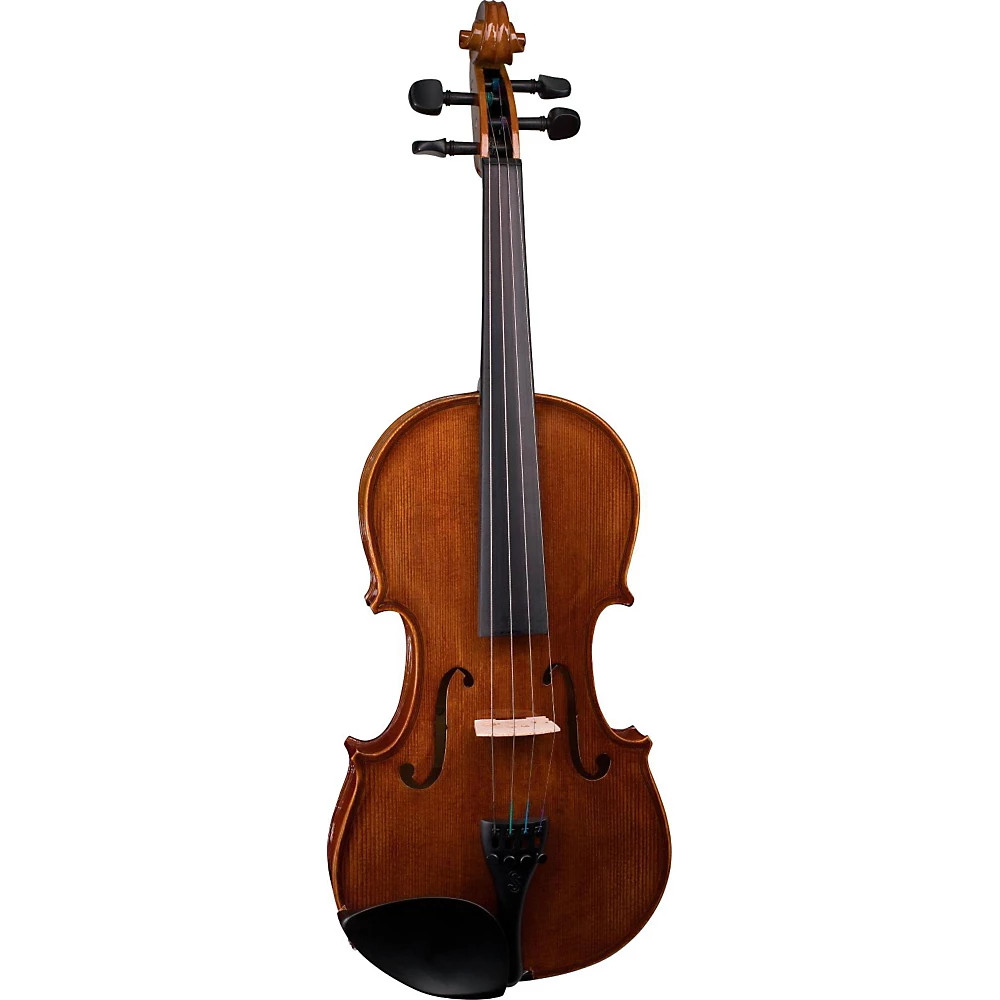 Stentor 1500 Student II Series Violin Outfit 1/4 Outfit 197881460884 OB