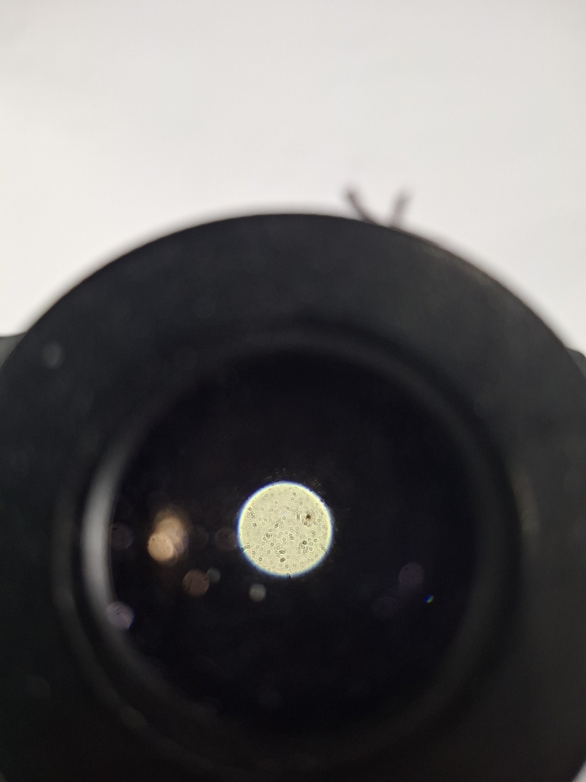 Olympus BH-2 Binocular Microscope