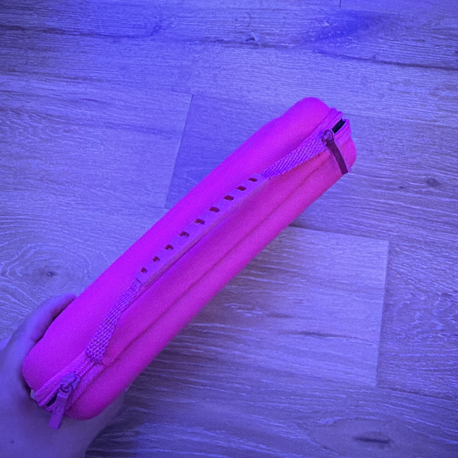 Nintendo pink case