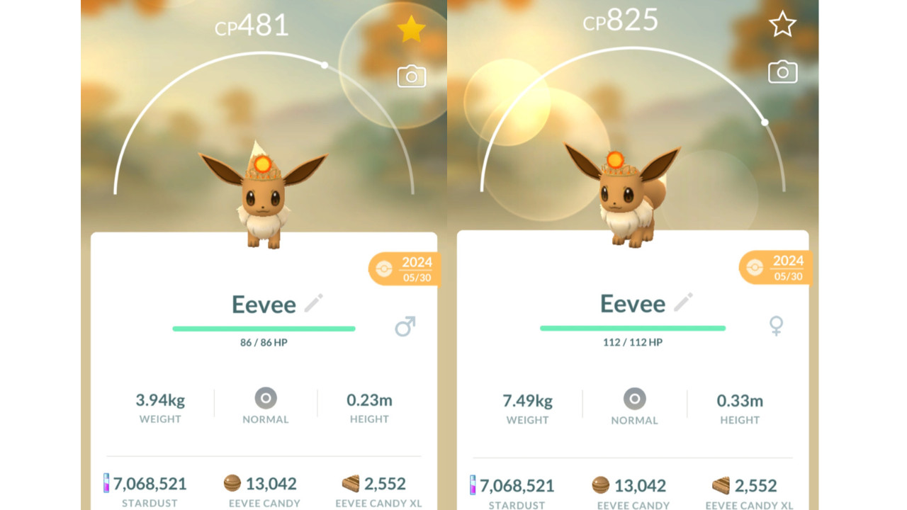 🌞Non Shiny Eevee (Non Dazzling Eevee) Sun Crown Pokemon GO🌞 Exchange