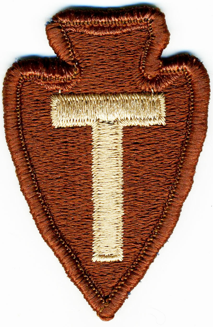 US Army Patch: 36th Infantry Division Texas National Guard Desert DCU reversed
