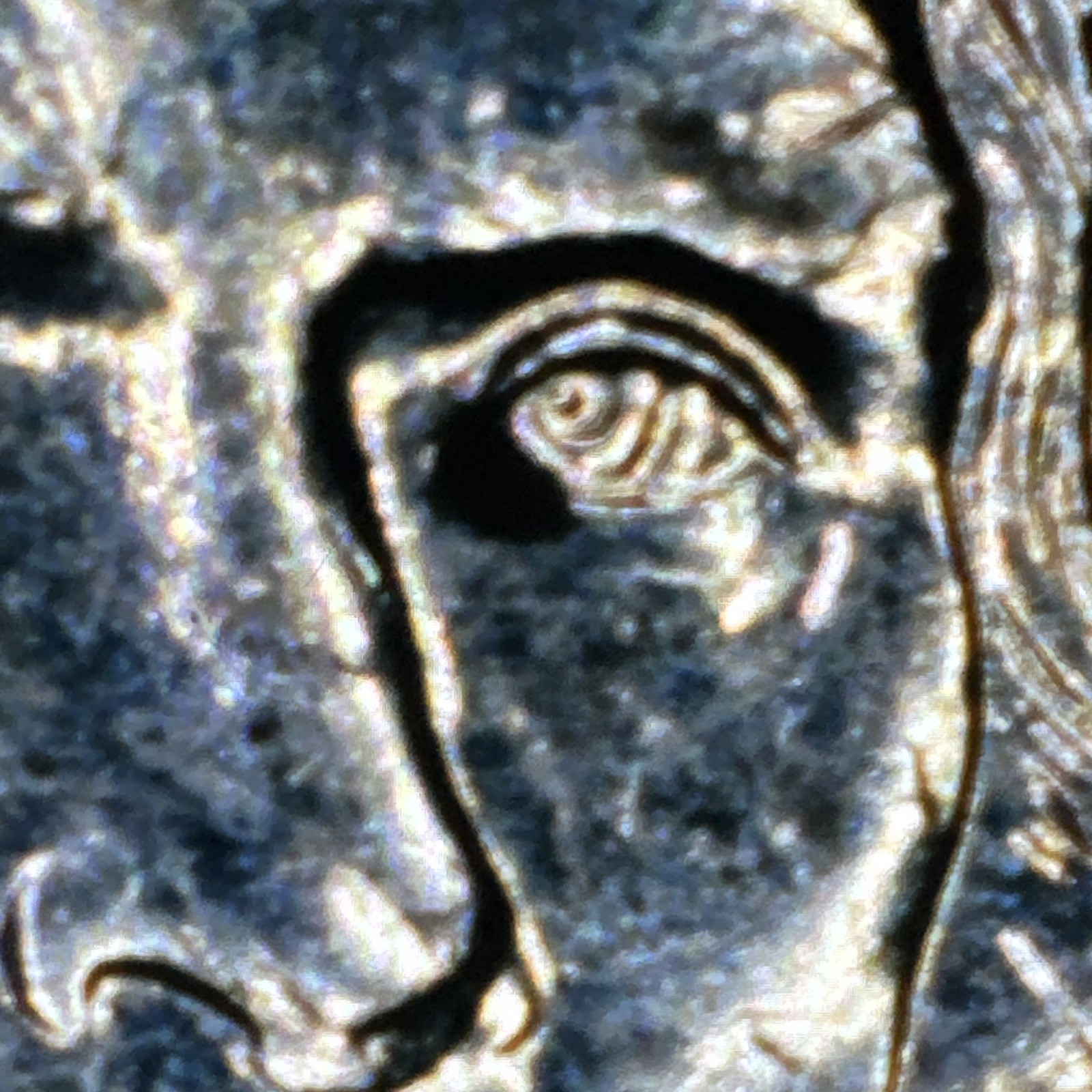 ERROR JEFFERSON NICKEL 2007 D PHILADELPHIA MINT