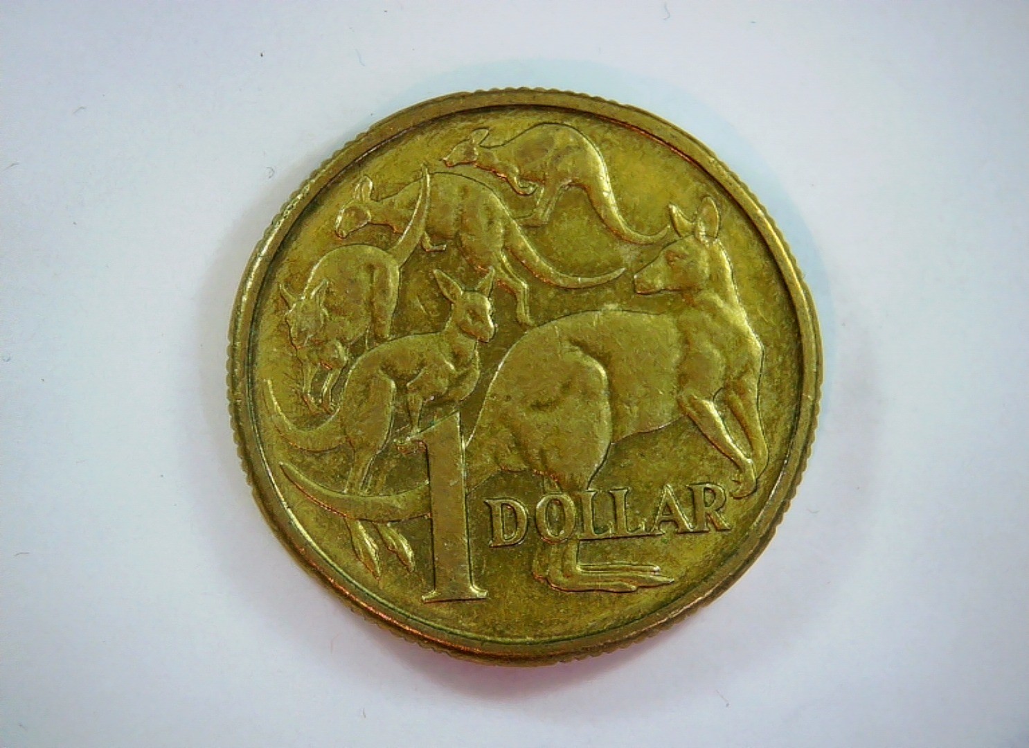 Australia 1985 1 Dollar Australian Dollar (Mob of Kangaroos) Coin