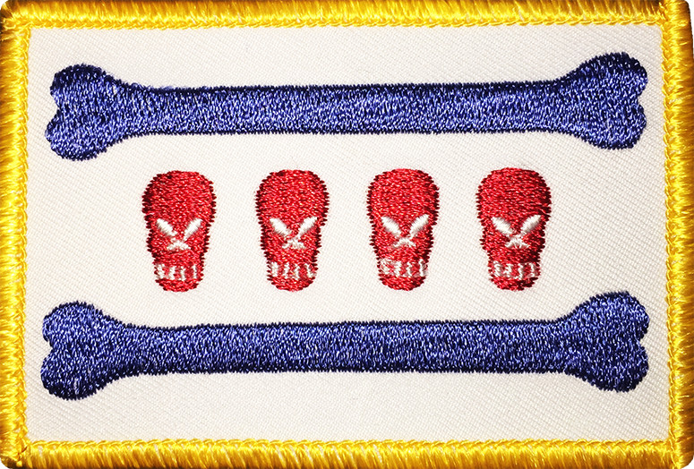 CITY OF CHICAGO SKULL & BONES FLAG PATCH: Standard