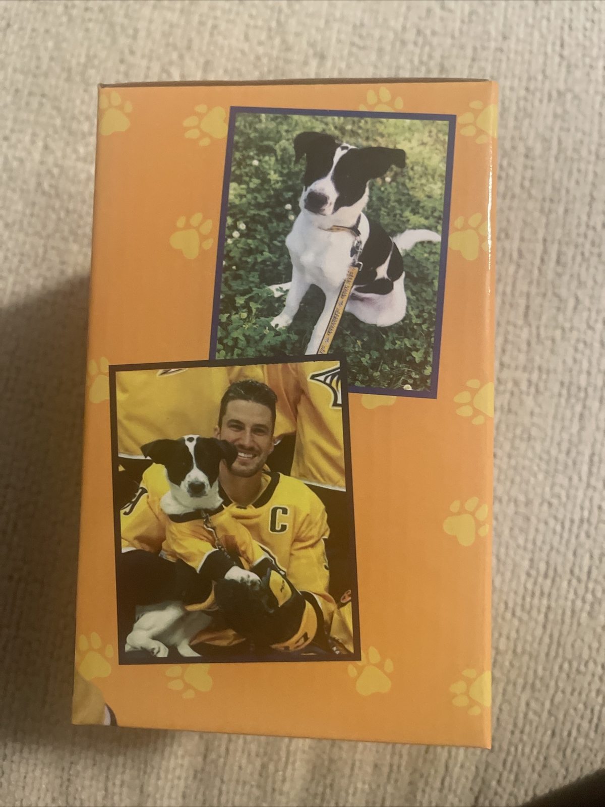 Nashville Predators Smash bobblehead Mascot Dog