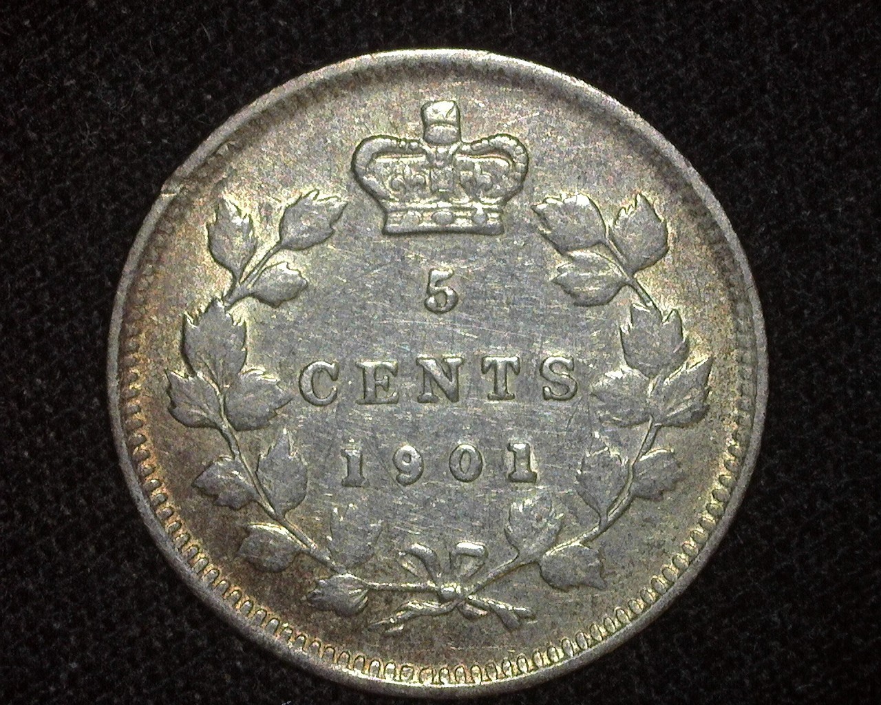 CANADA 1901 5 CENTS KM2 SILVER ABOUT UNCIRCULATED ~M9