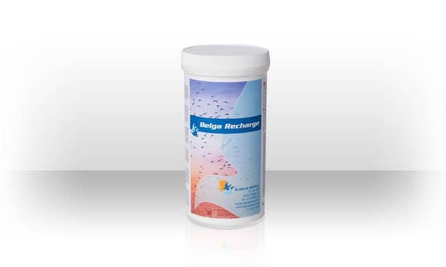 Belga Recharge 300gr - Recovery - by Belgica de Weerd