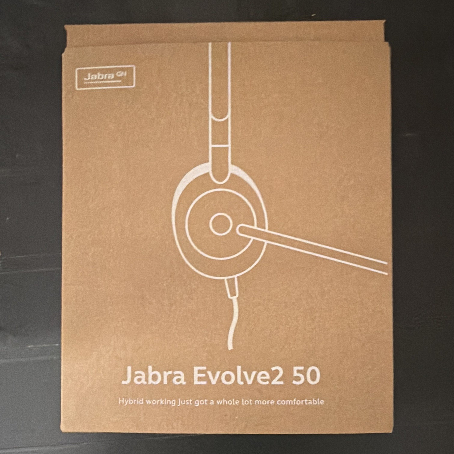 Jabra Evolve2 50 USB-C On-Ear Headband Headset Boom Mic, Black, Double