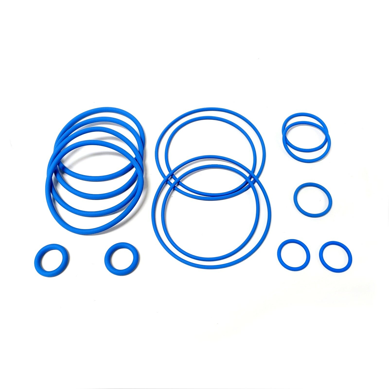 O-Ring Rebuild Kit for Wayne iMeter - Blue Fluorosilicone