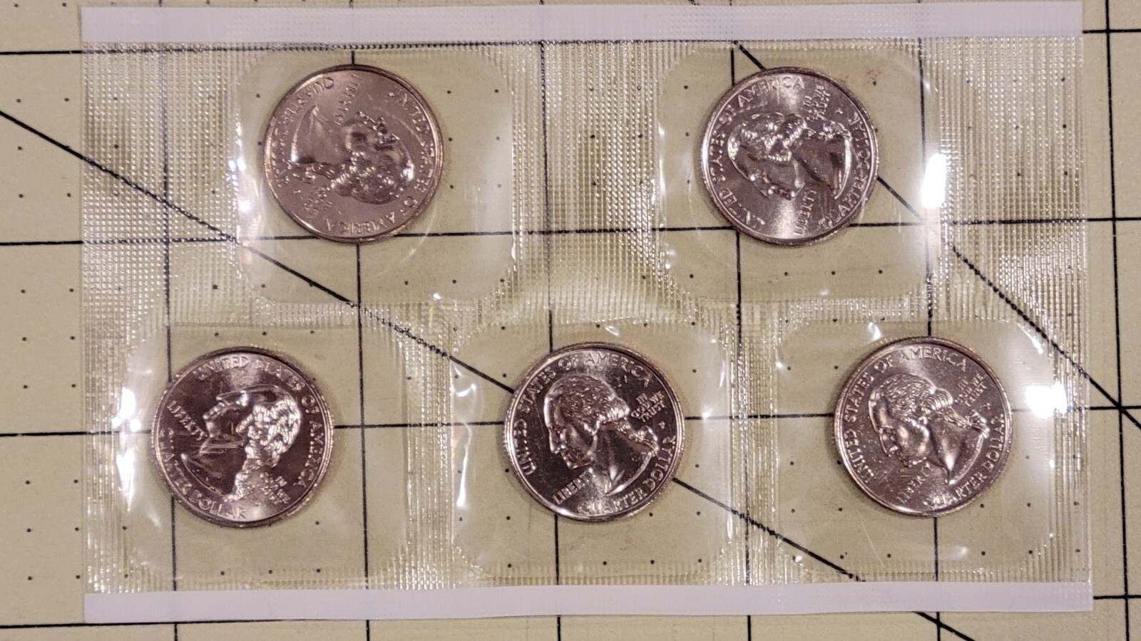 1999-P Uncirculated 5 Coin Mint Set Plus 5 First Issue State Quarters