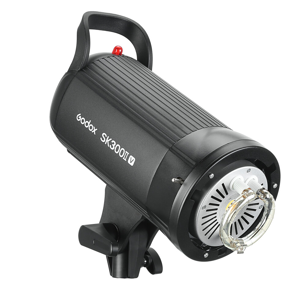 Godox SK300II-V Studio Strobe Flash with Reflector+60*90cm Grid Softbox+2M Stand