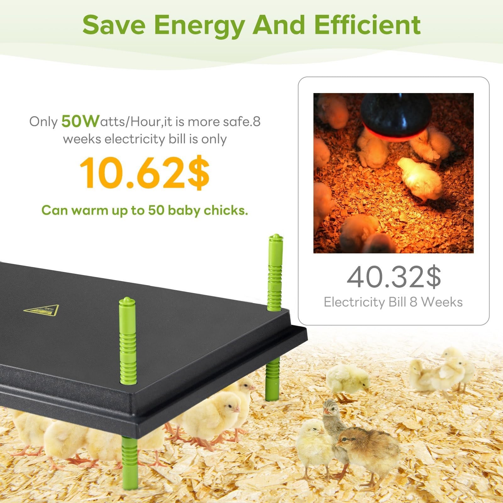Chick Brooder Heating Plate 16x22" - Adjustable Height & Angle, 50W, Safe for 50