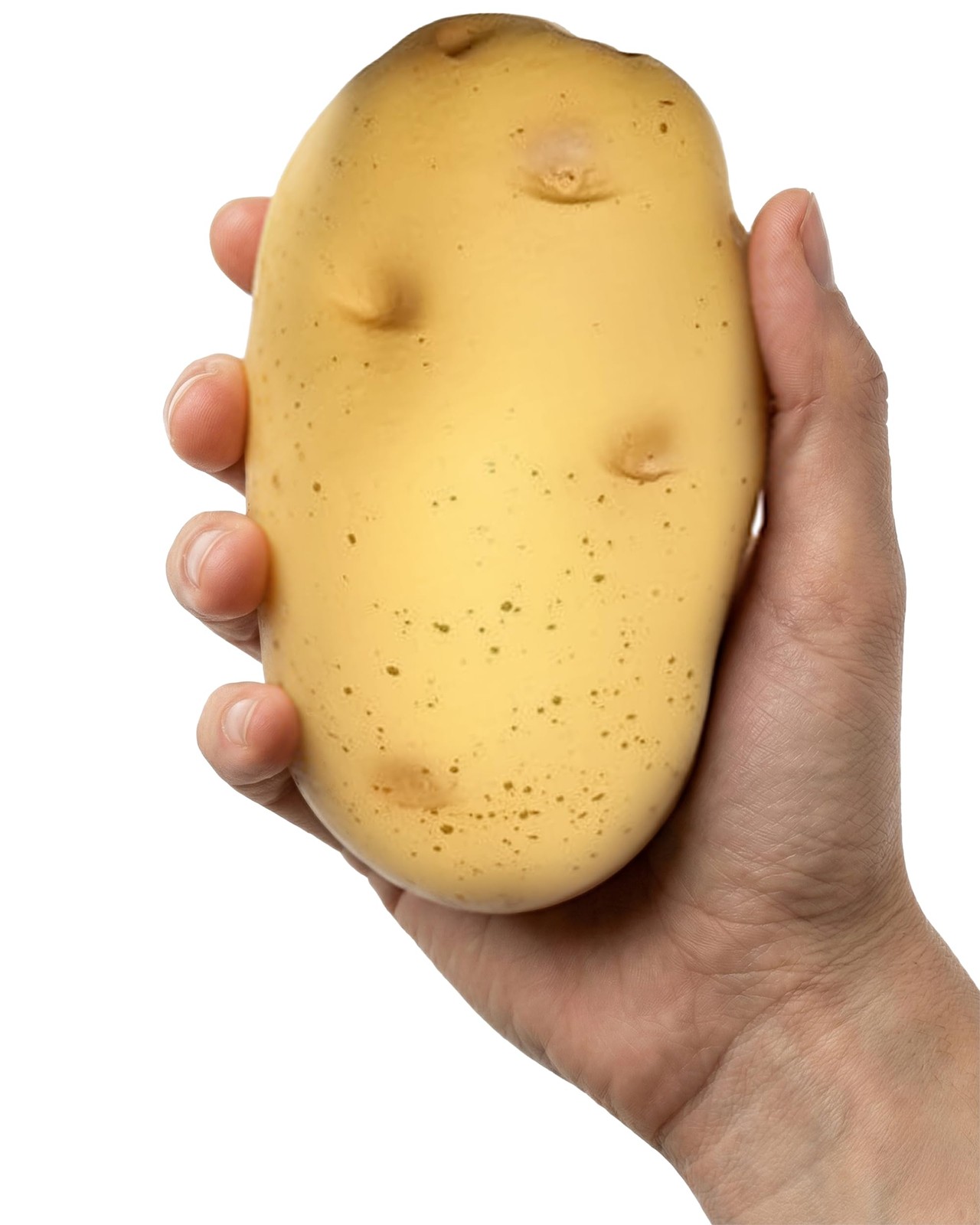 Potato Squishy Toys – Soft Squeeze Toys for Adults – Realistic Fake Food Stre...