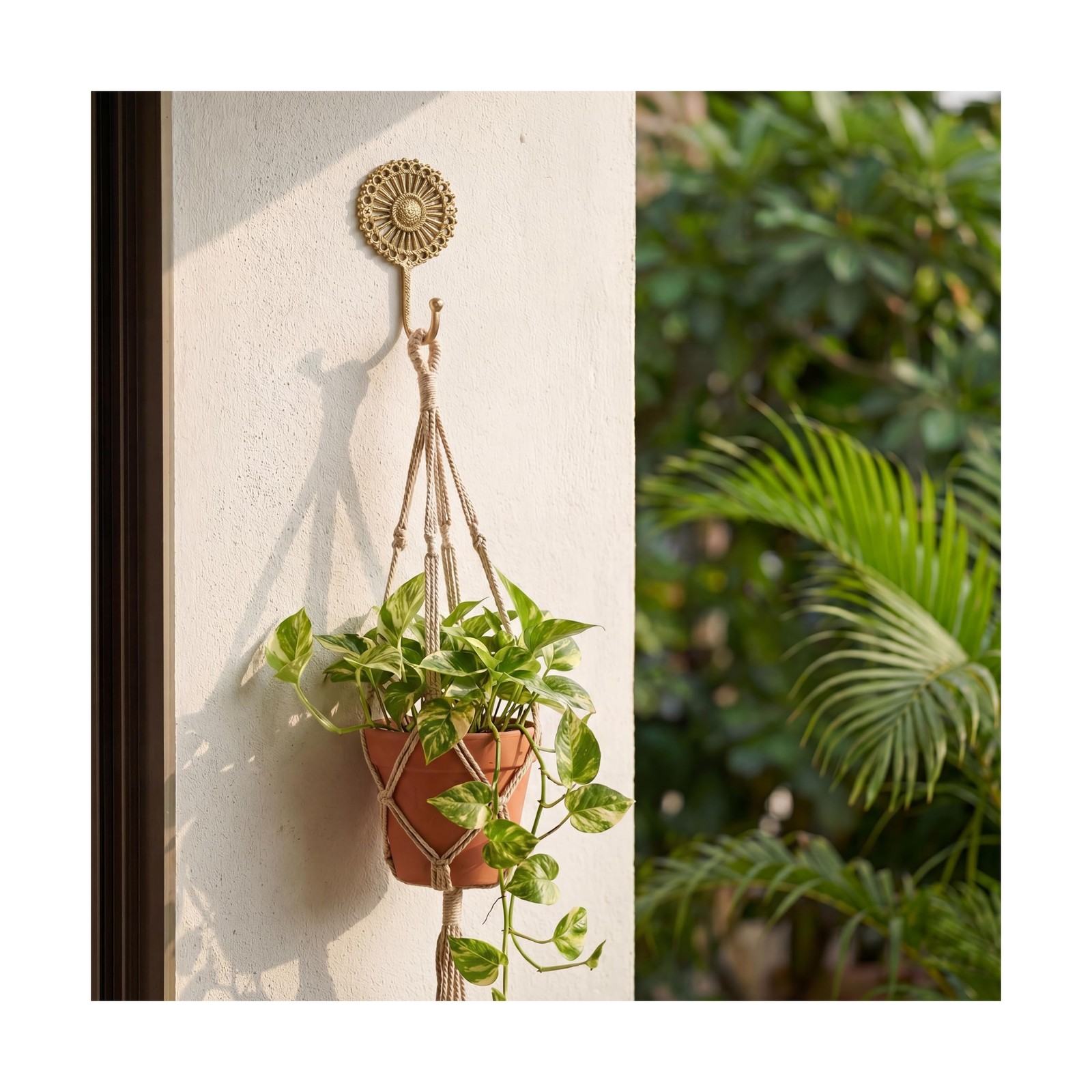 IndianShelf Solid Brass Boho Decorative Wall Hooks - Holds Up to 33... Fast Ship