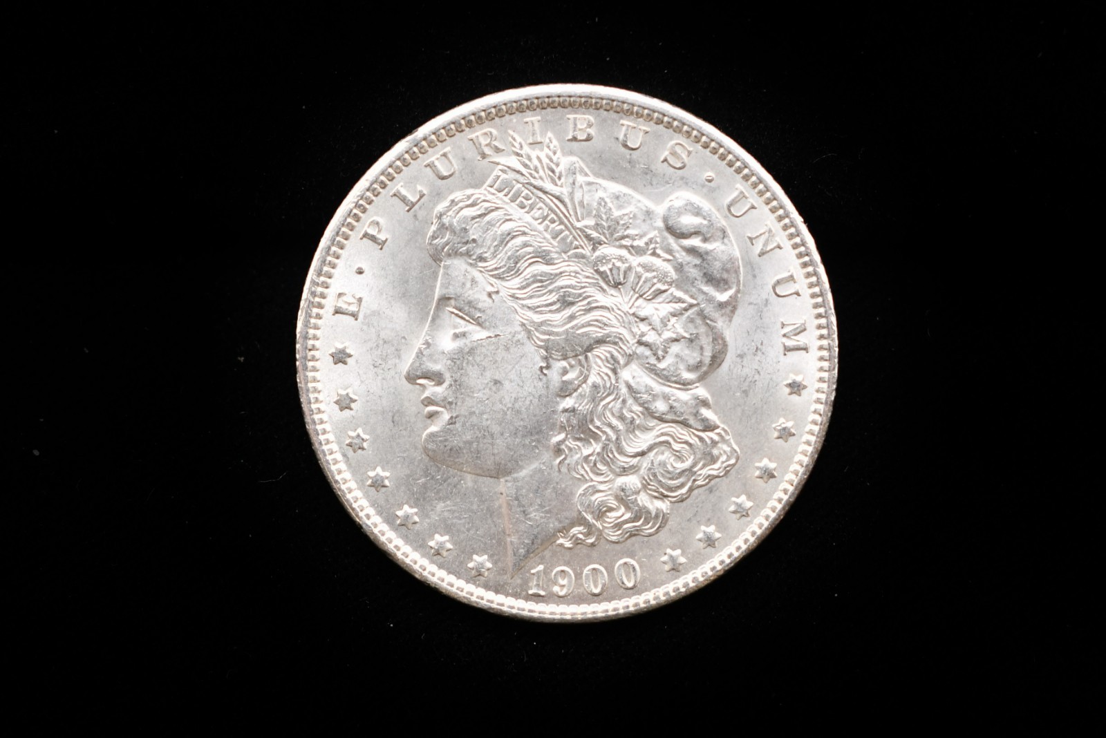 1900 Morgan Dollar #EB26133