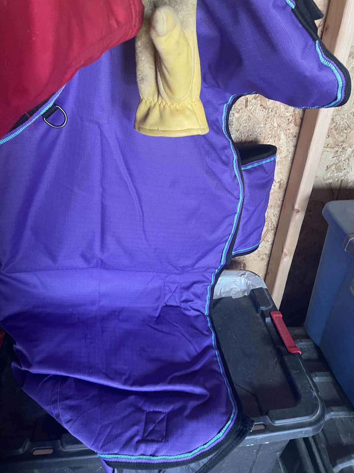 54 Kensington Pony/mini Turnout Blanket