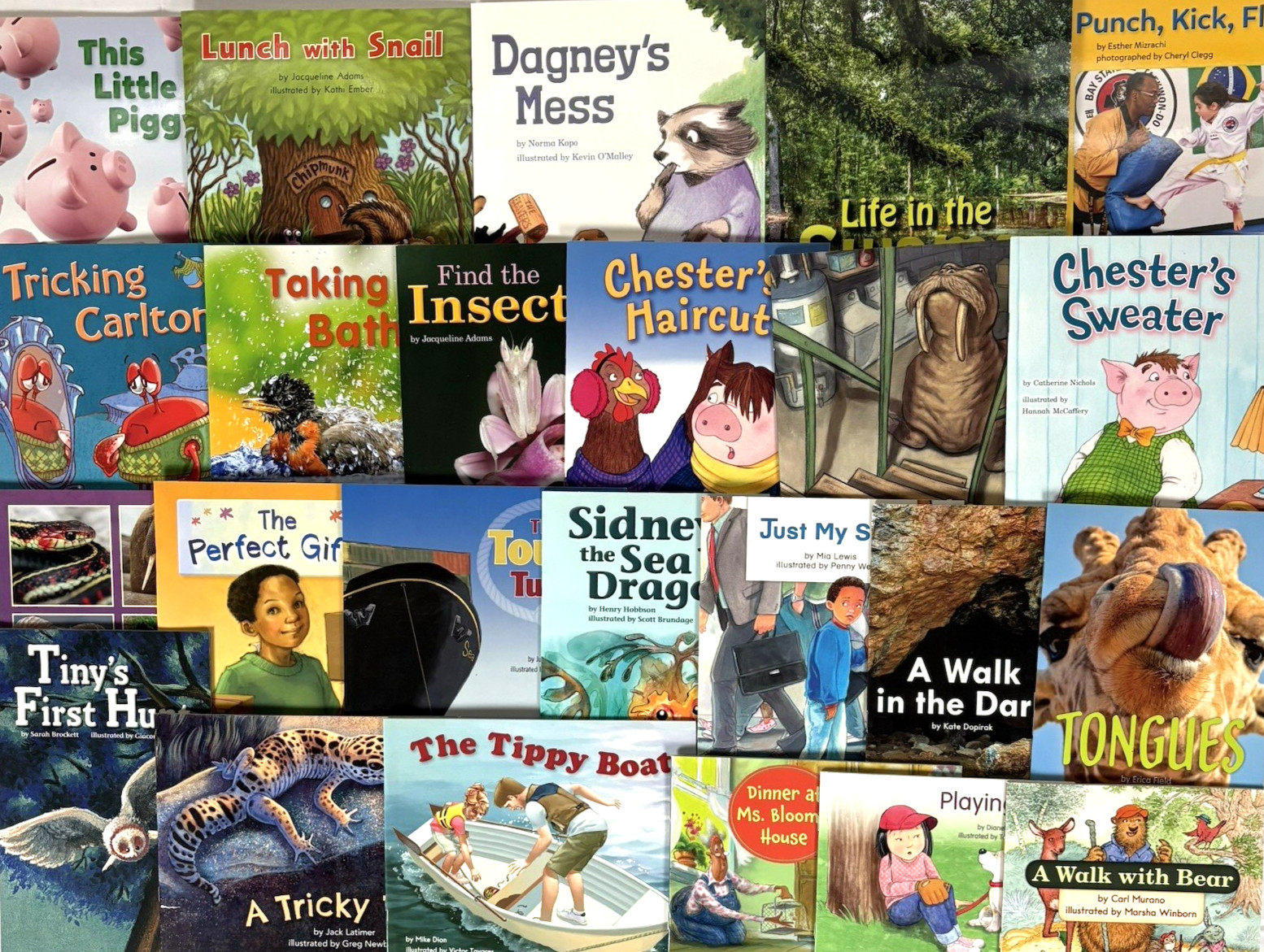 1st Grade Readers Multi-Level Reading Library #3 – 24 Books Levels E-J