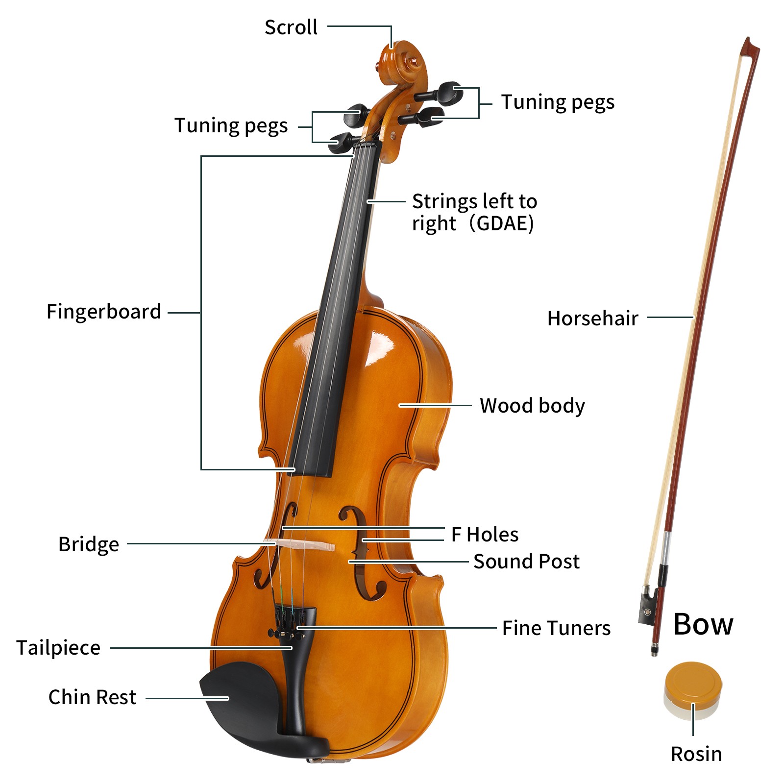 1/4 Acoustic Violin Basswood w/ Hard Bridge Case Bow Rosin Shoulder Rest Gift