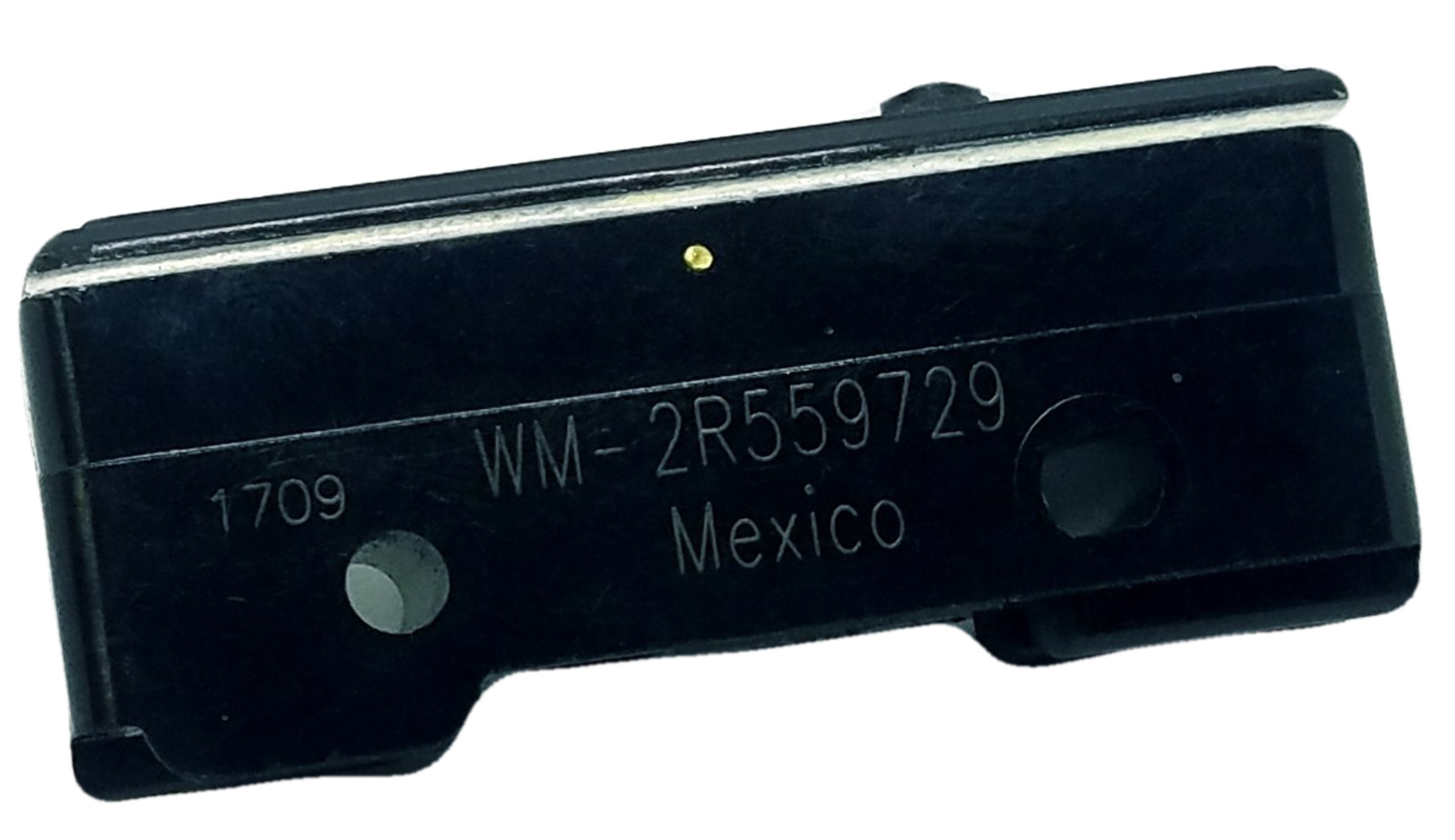 WM-2R559729 22A 250V BASIC SWITCH SWITCH