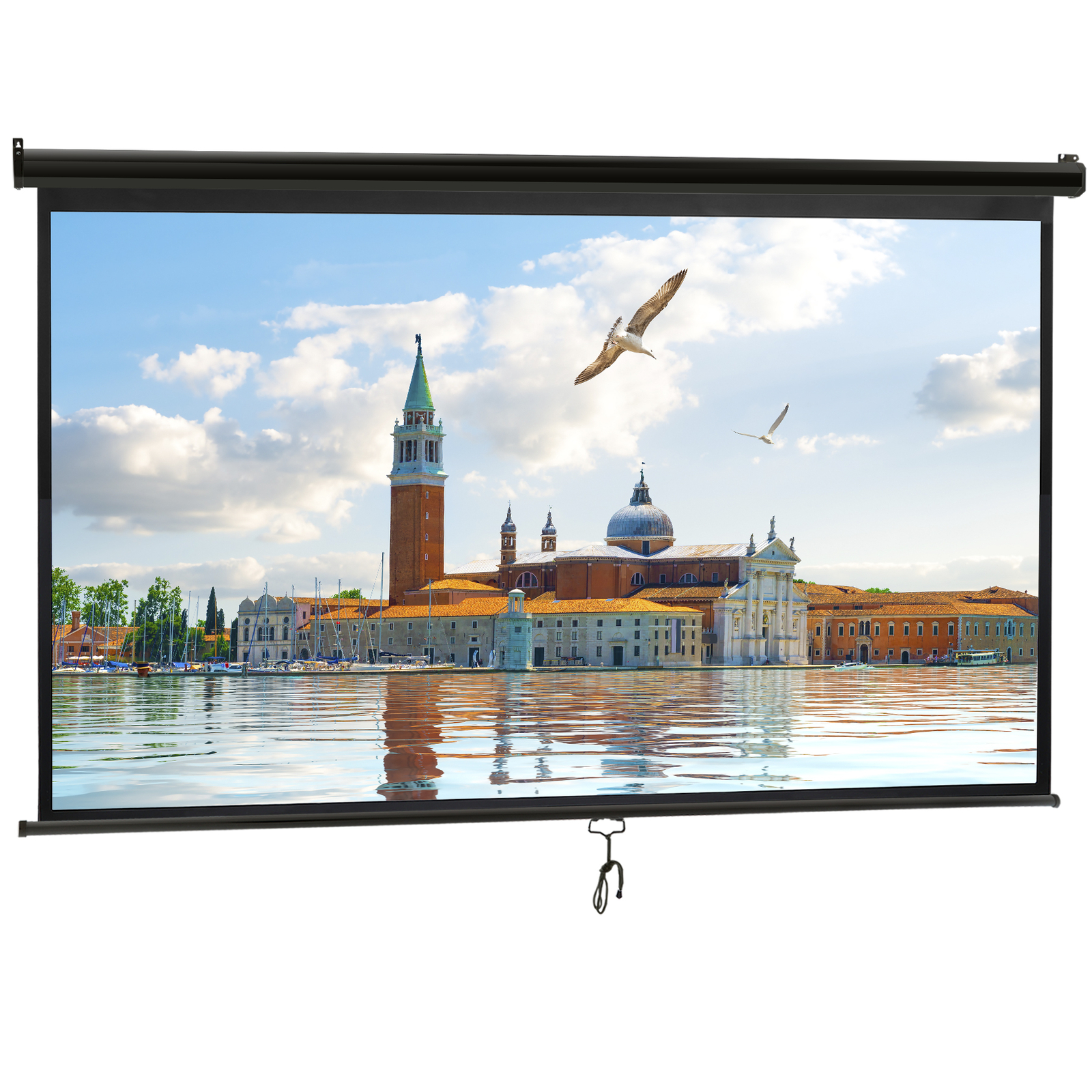 Portable Pull Down 100" 16:9 Hd Projection Screen Home Office Indoor Outdoor Use