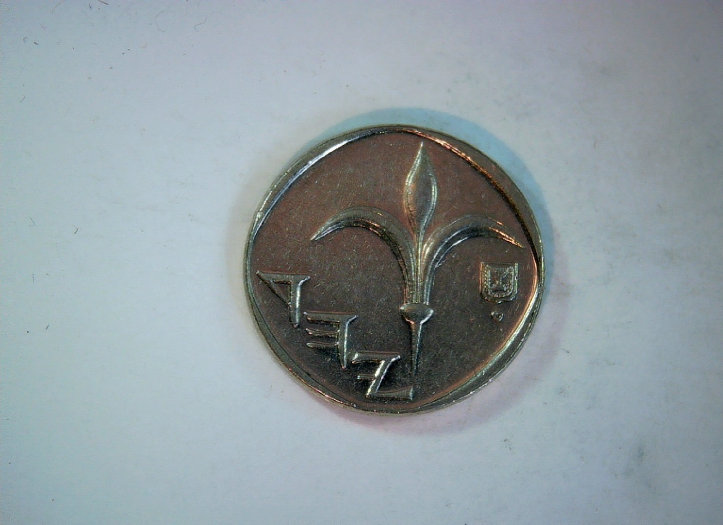 Israel 1 New Sheqel New Sheqel (modern series; lily emblem) Coin