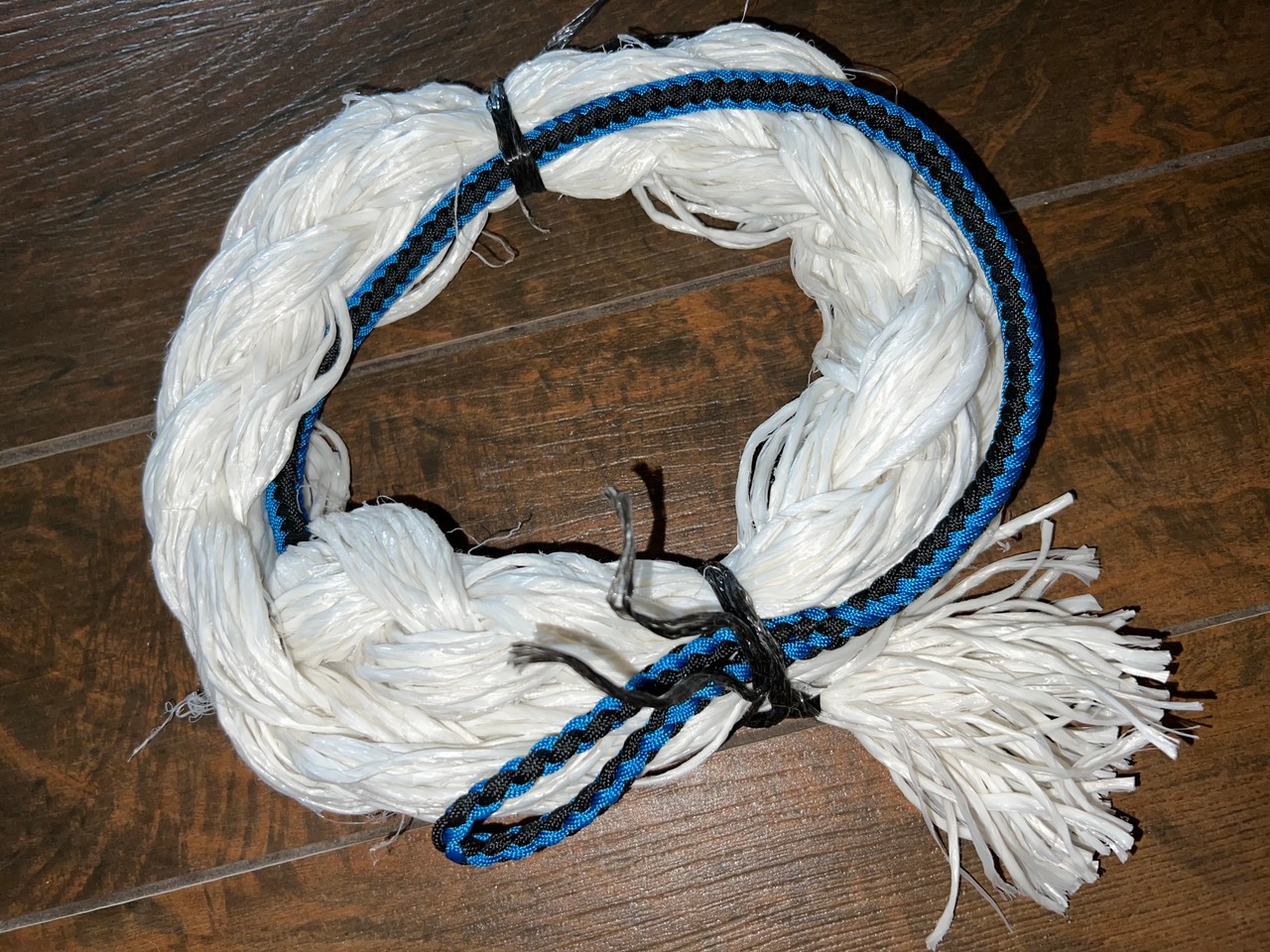 Adult White Poly Saddle Bronc Rein Black & Blue Paracord 6ft