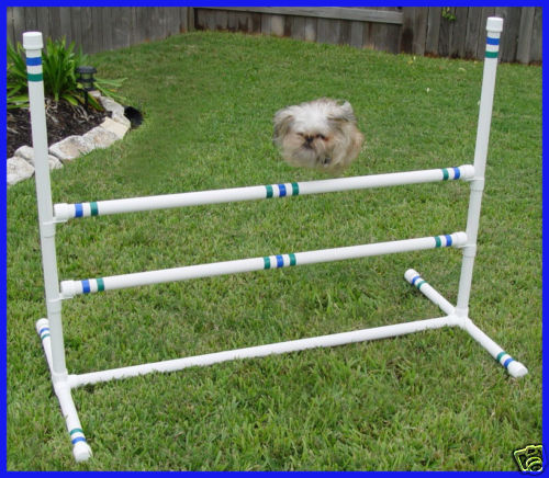 ** 3 DOUBLE CROSSBAR SINGLE JUMPS DOG AGILITY EQUIPMENT