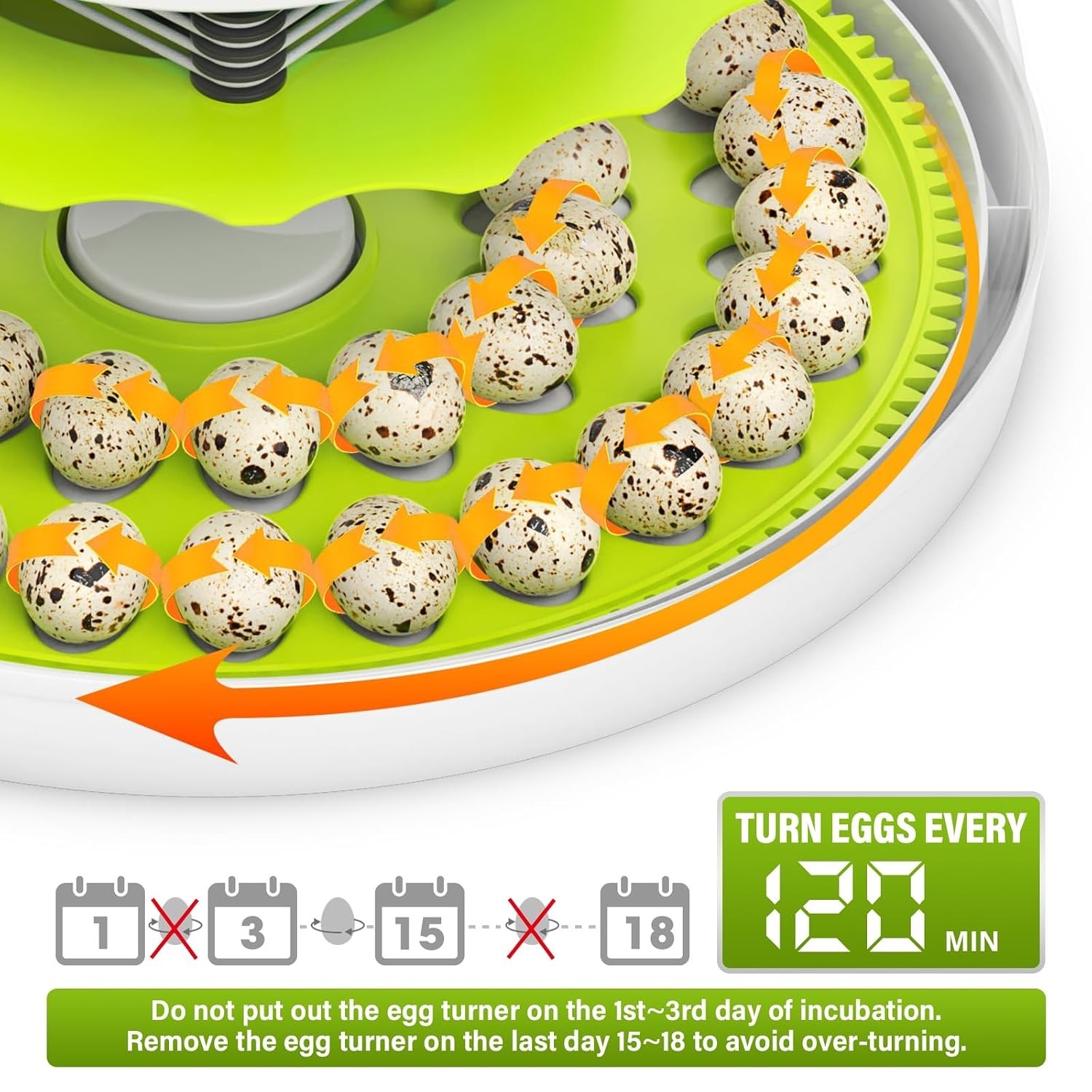 Smart Quail Egg Incubator 40 Eggs Auto Turner Humidity Control