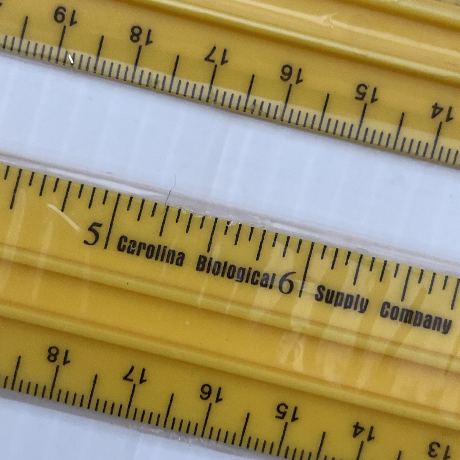 Lot of 3 Rulers Carolina Biological Supply Co. Lab Tool Kit Yellow.