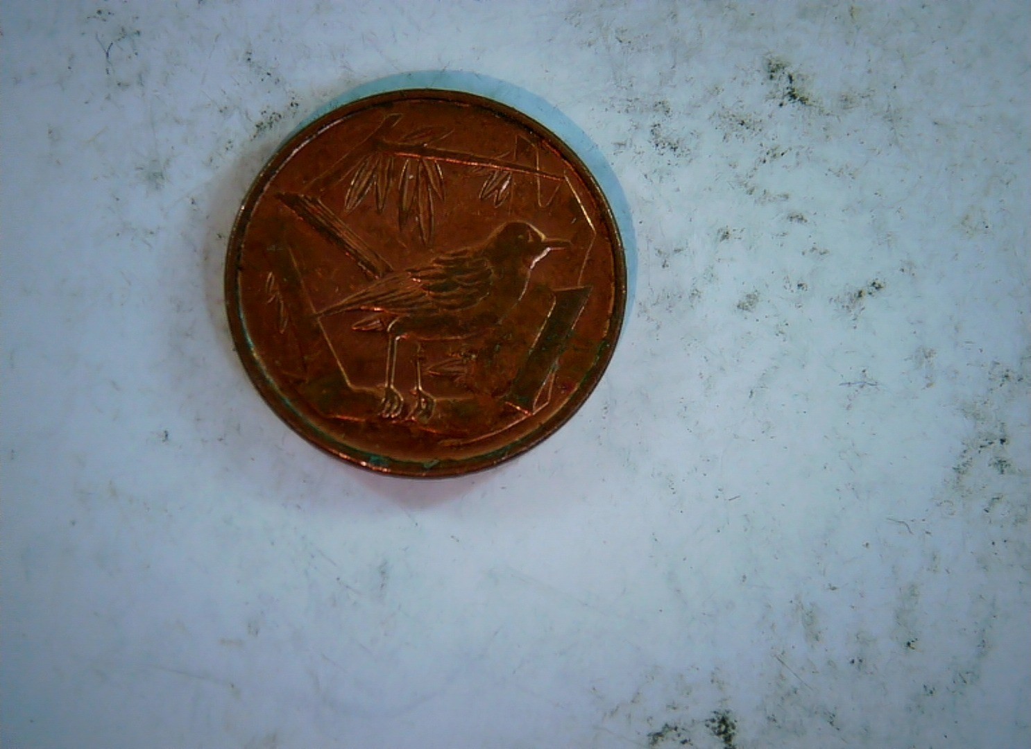 Bermuda 2008 1 Cent Bermuda cent (Tropicbird / Queen Elizabeth II) Coin
