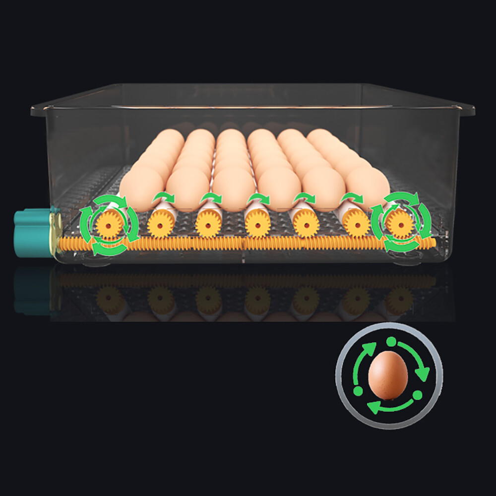 16/36 Eggs Incubator Digital Automatic Turner Hatcher Chicken Egg Temp Control