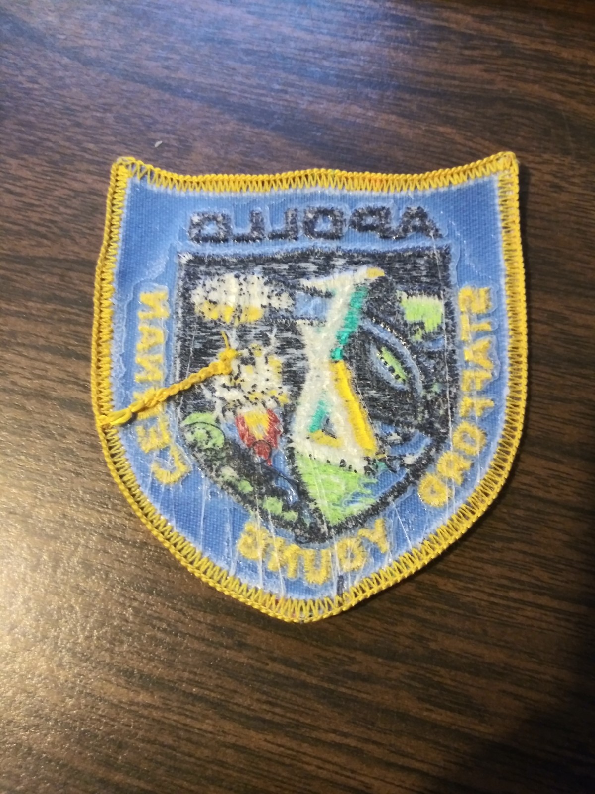 NASA Apollo X Apollo Program Small Patch