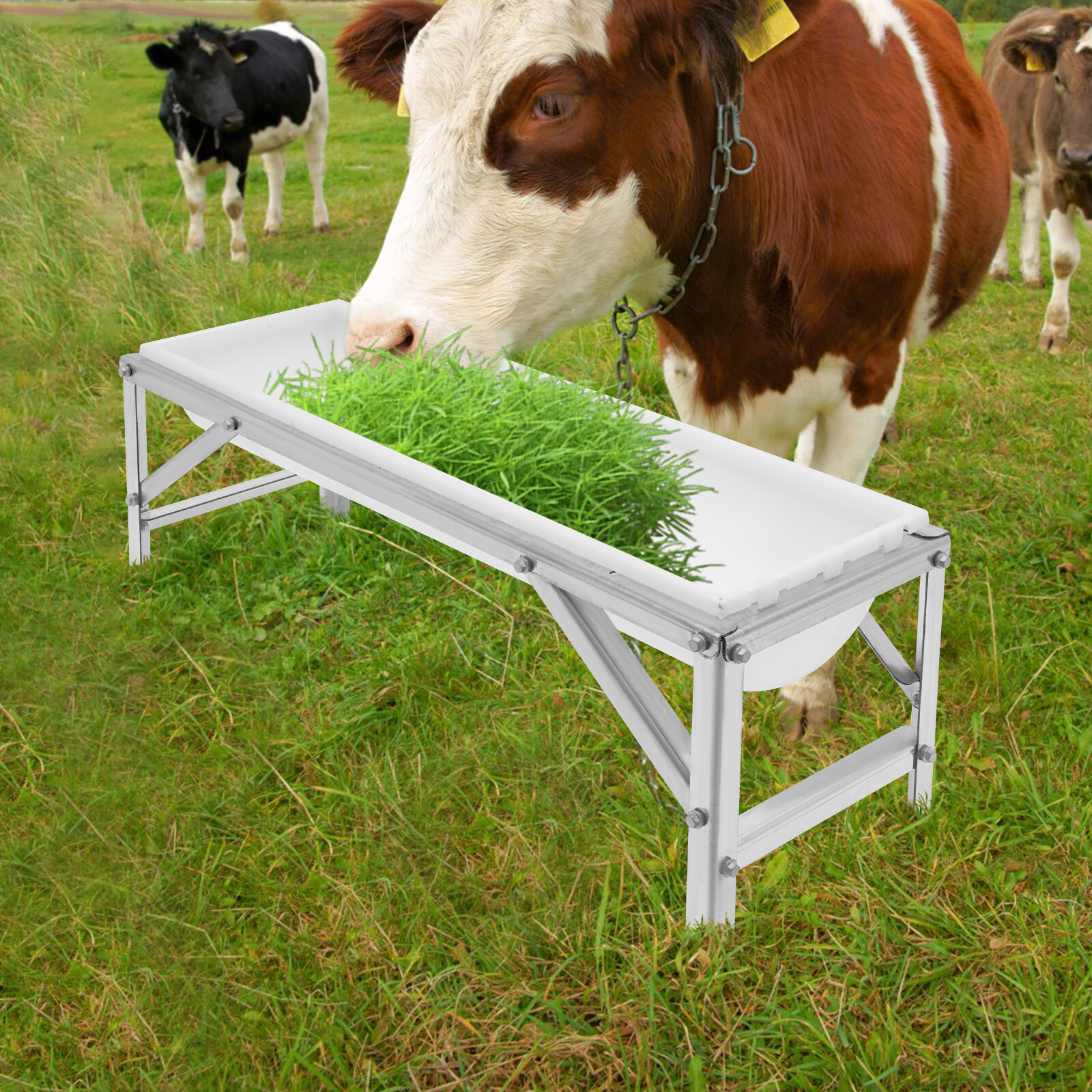35L Livestock Rectangular Feed Trough Feed Trough Feeder w/Stand Floor Standing