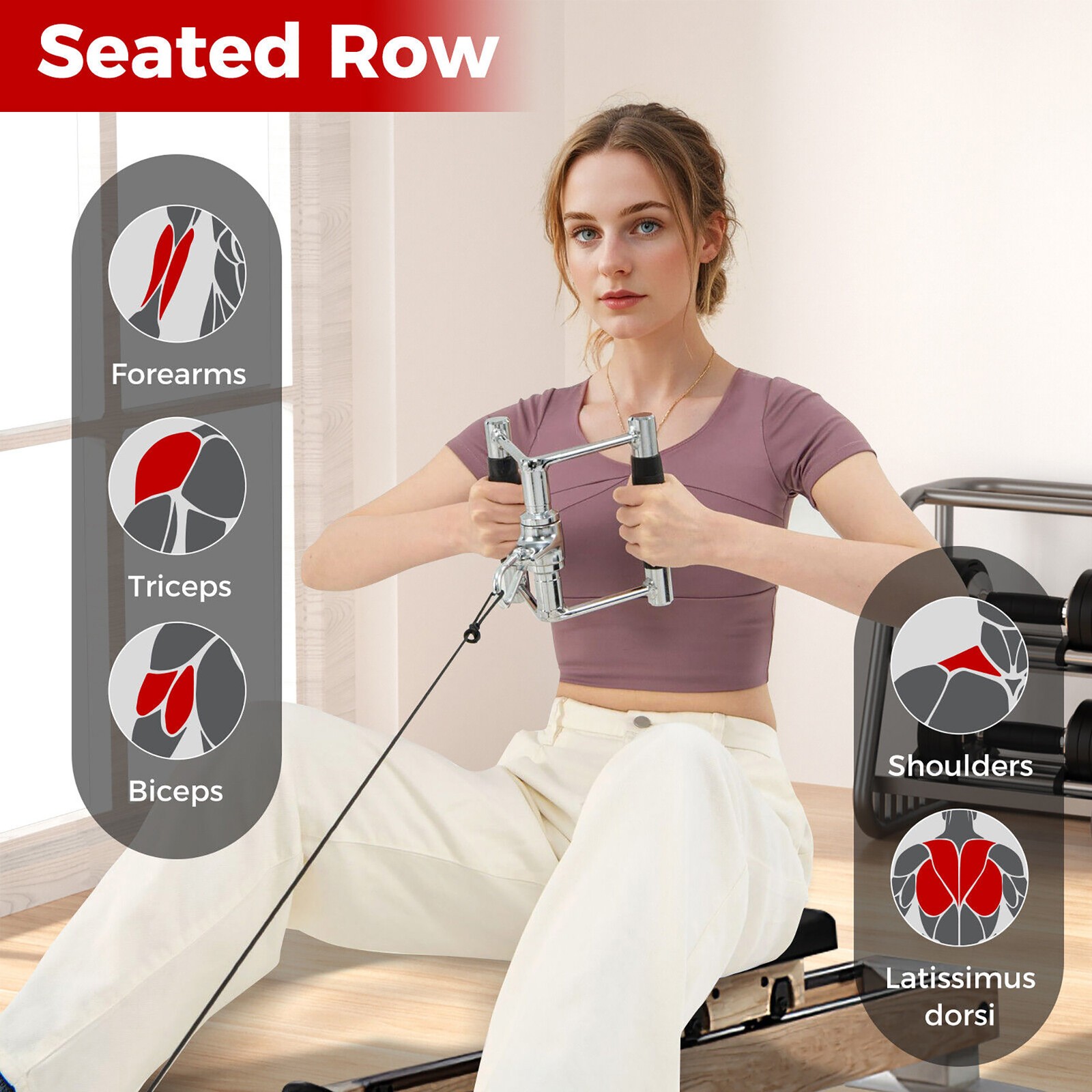 4 PCS Cable Machine Attachment Set V-Shaped Press Down Bar Double D Handle