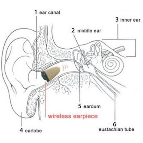 5 Pcs Wireless Magnetic Earpiece MIC In-Ear Smallest Earphone Super Mini