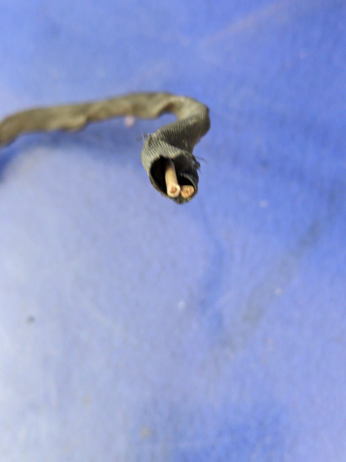 bentley flying spur Porsche Wiring Harness Plug Connector Pigtail OEM