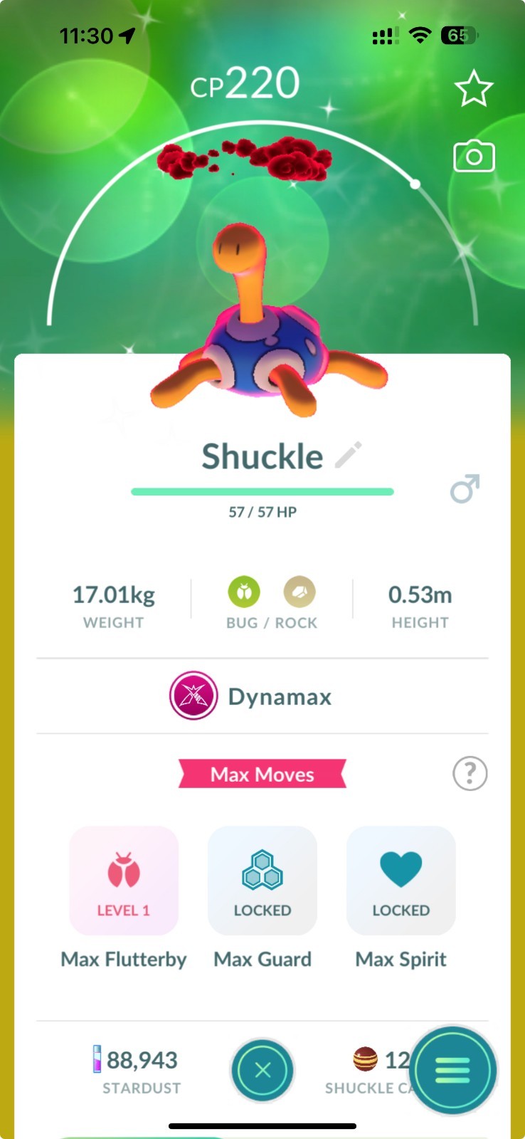 Pokémon Shiny Dynamax Shuckle - PTCs - GO Read Description