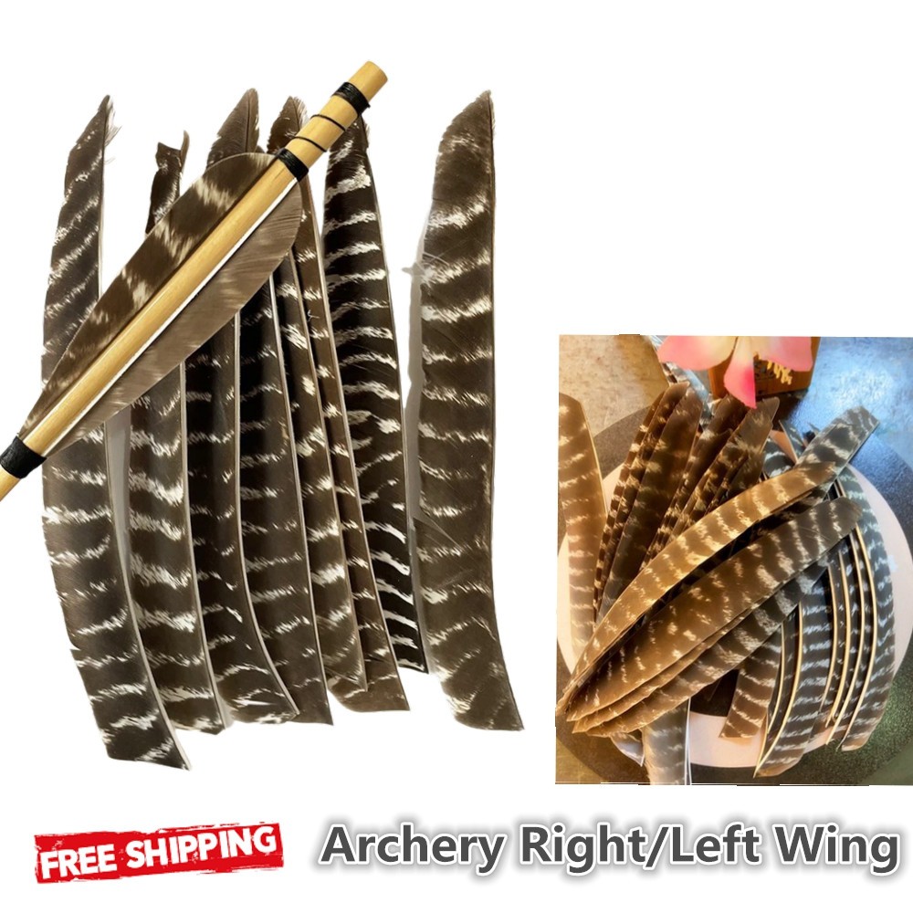 Archery Full Length 7-10in Feathers RW LW Fletches Turkey Fletching Wood Arrows