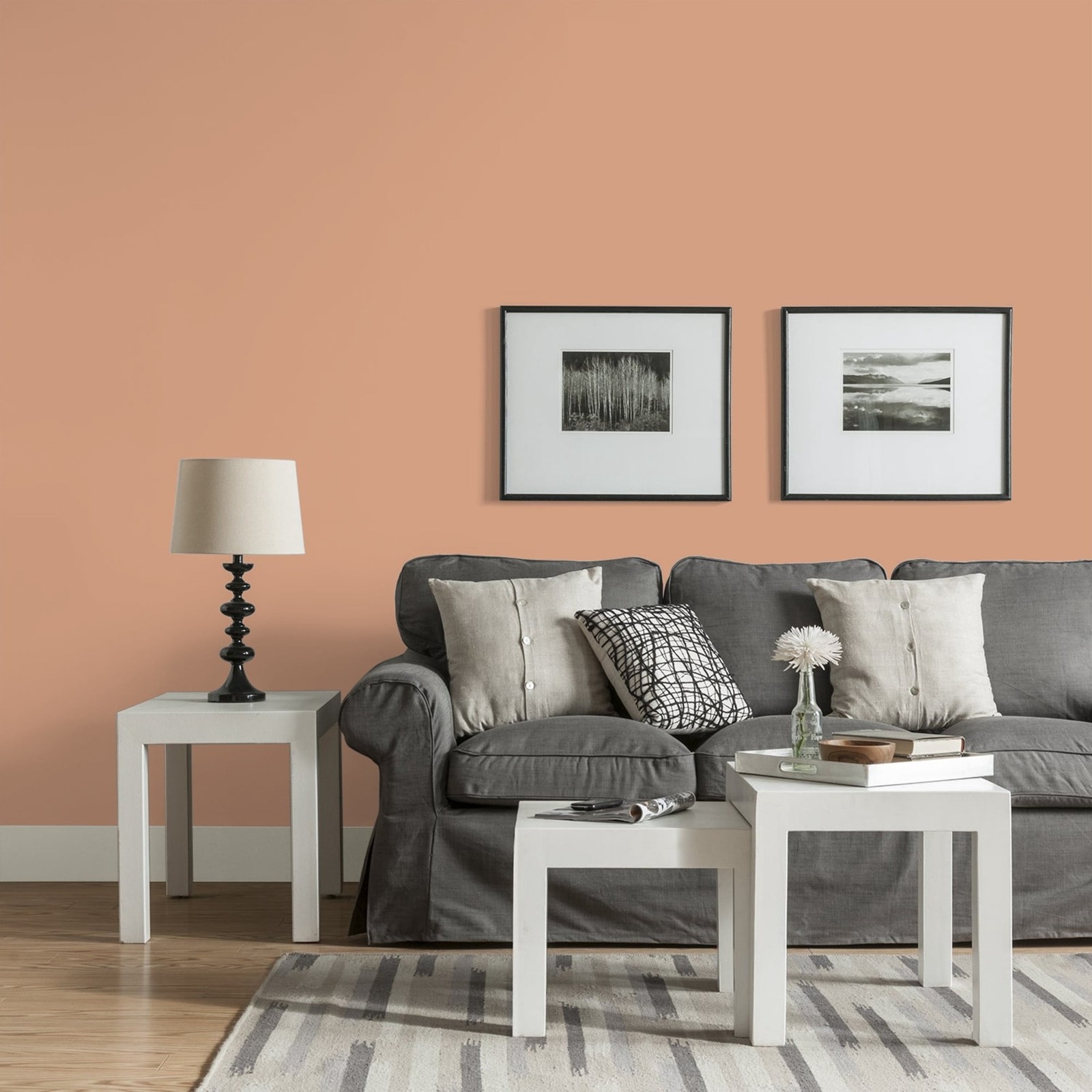 Fundamentals Orange Maple / Orange Eggshell Interior Paint 1 Gallon