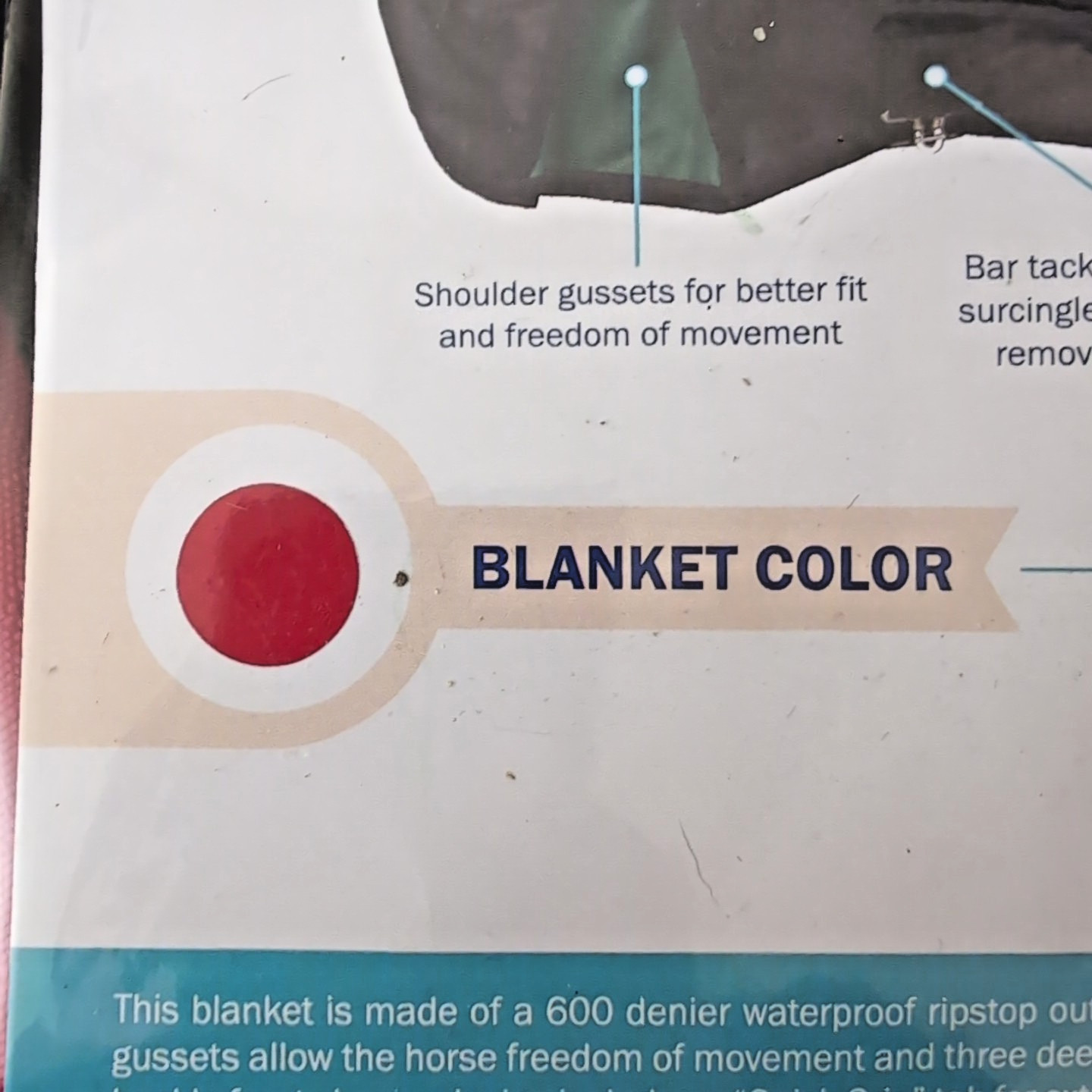 Miniature Horse Winter Turnout Blanket - Red - 600D - Sizes 42"