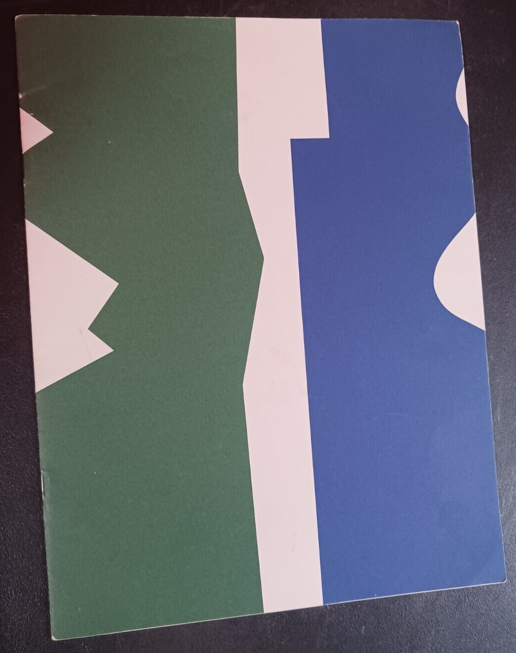 1985 Maine Biennial Paintings by Maine Artists  art exhibition catalogue