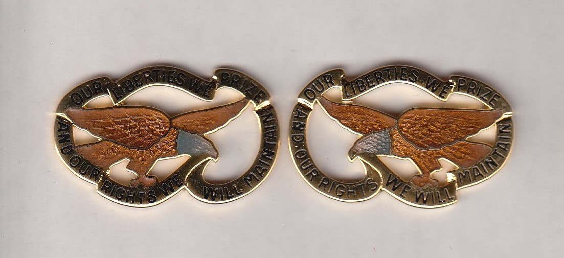 Iowa National Guard ARNG crest DUI badge c/b clutchback G-23 set
