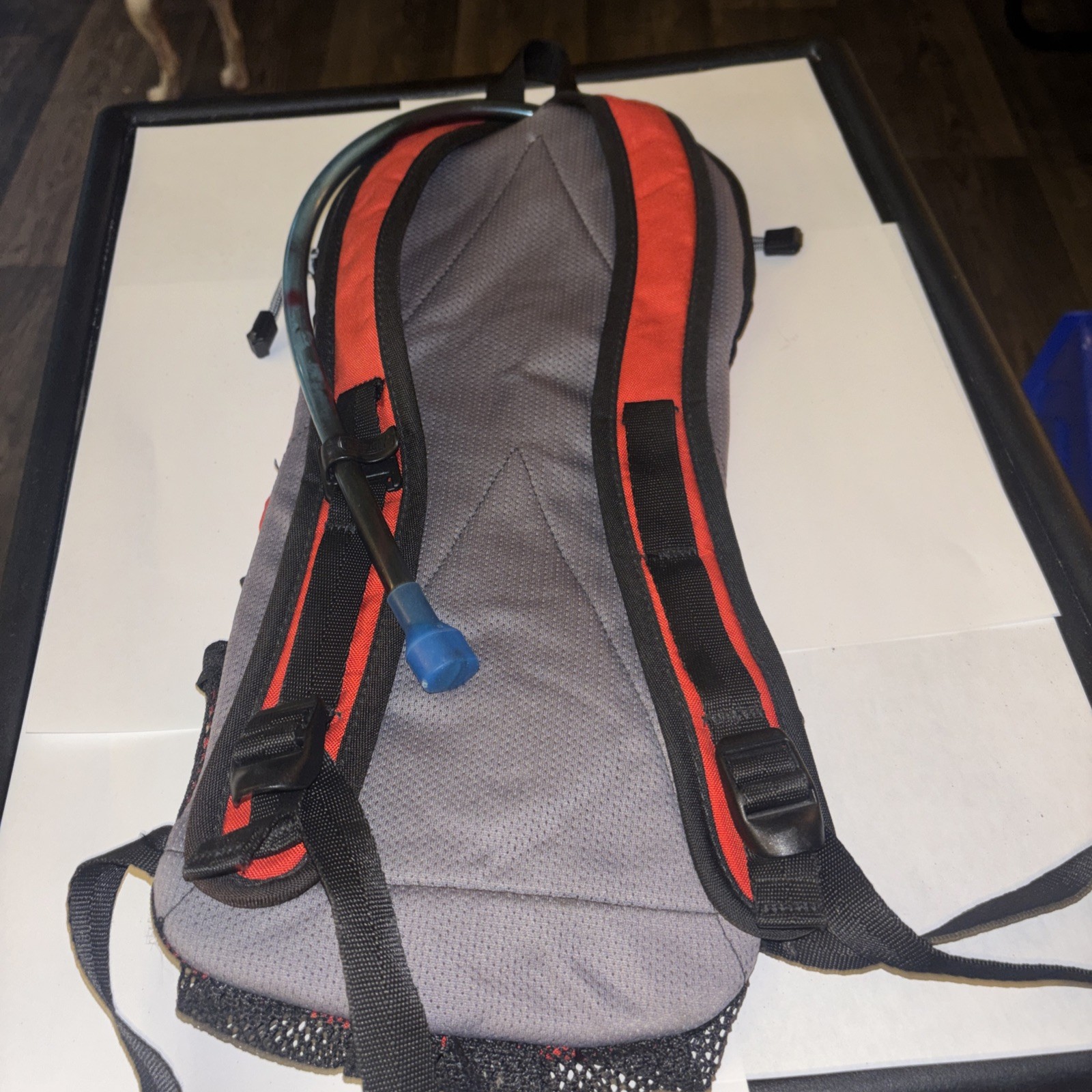 Camelbak Rogue Backpack Bladder Should Probably Be Replaced Or Cleaned Well.