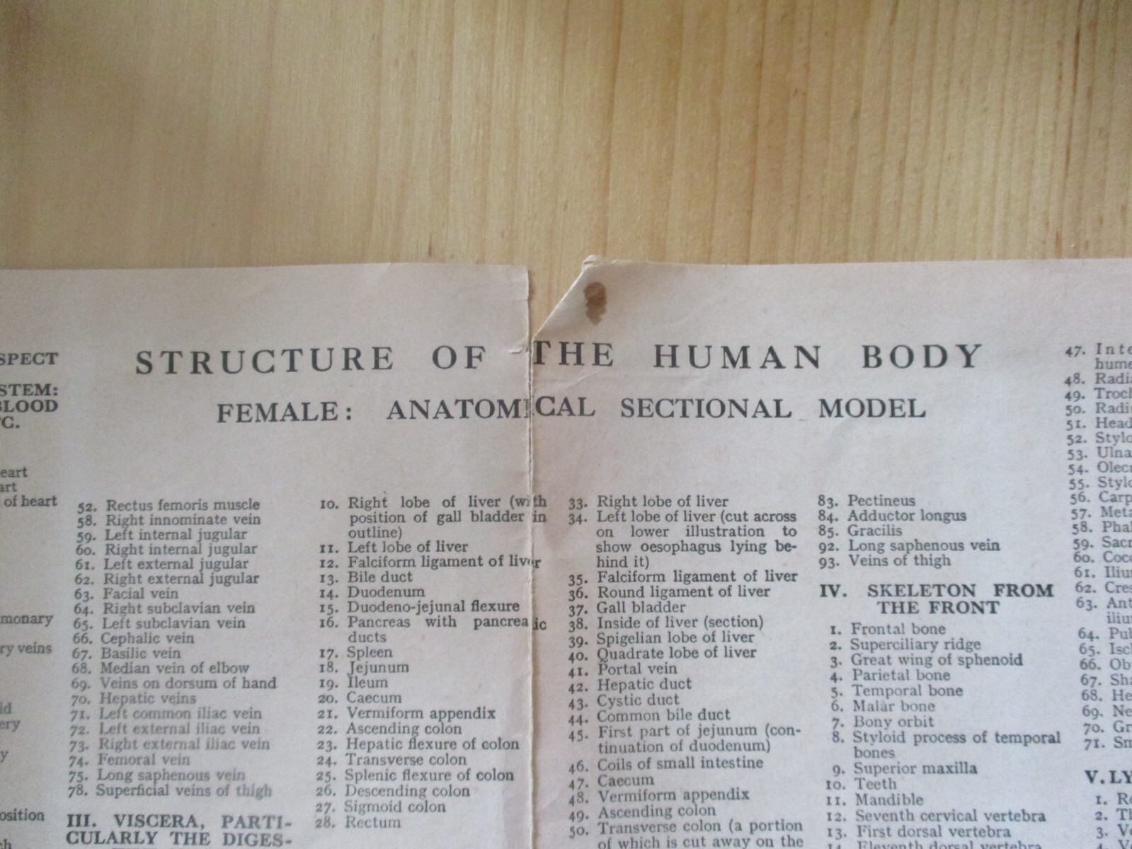 Vintage Anatomical Sectional Models Flip Charts Mankins