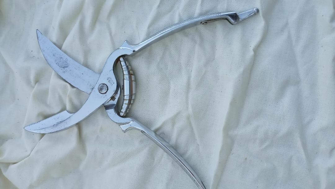 Wiss Germany #1309 Chrome Poultry Shears with Toggle Lock 9"