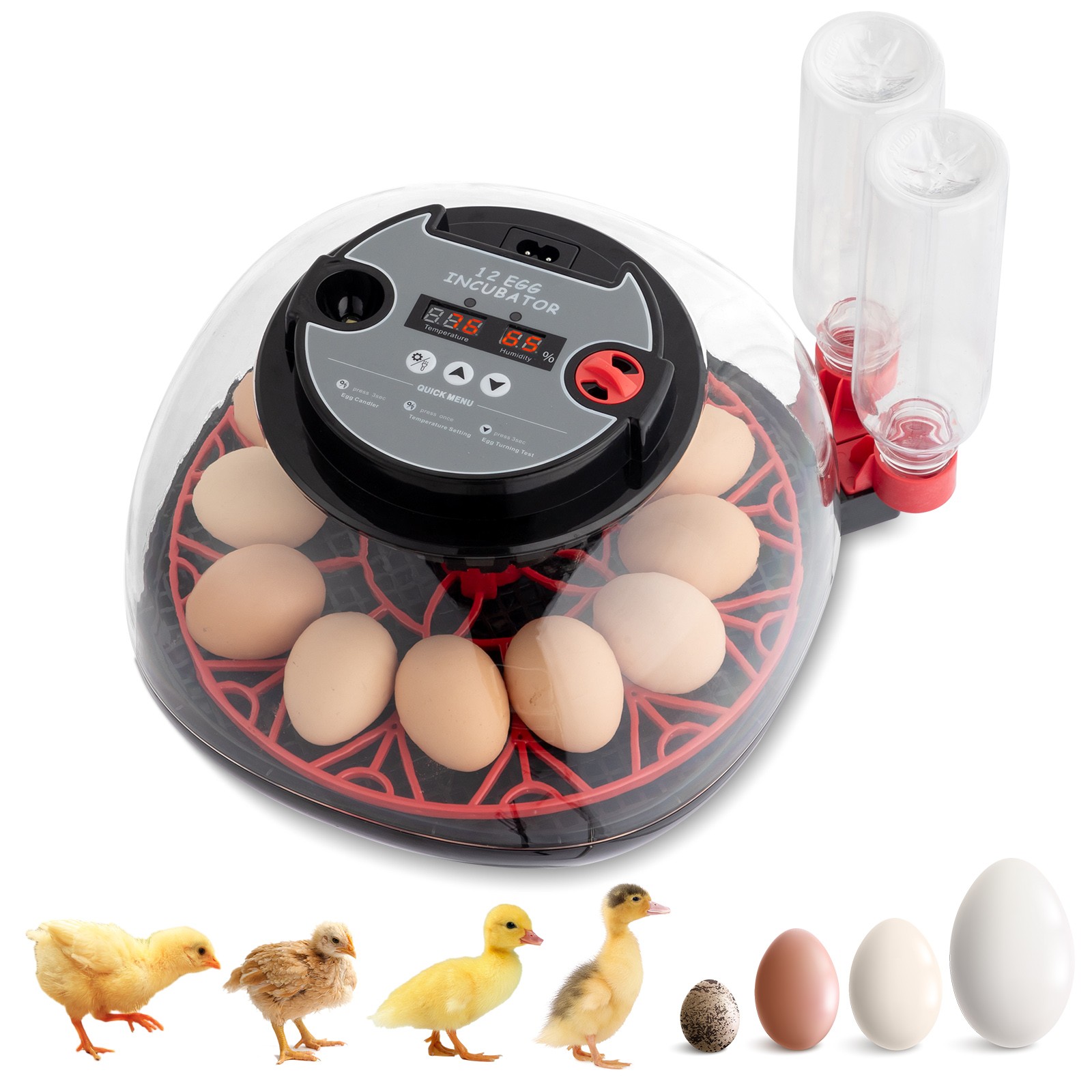 Smart Automatic Egg Incubator for 12 Eggs High Hatchability with LED Lighting