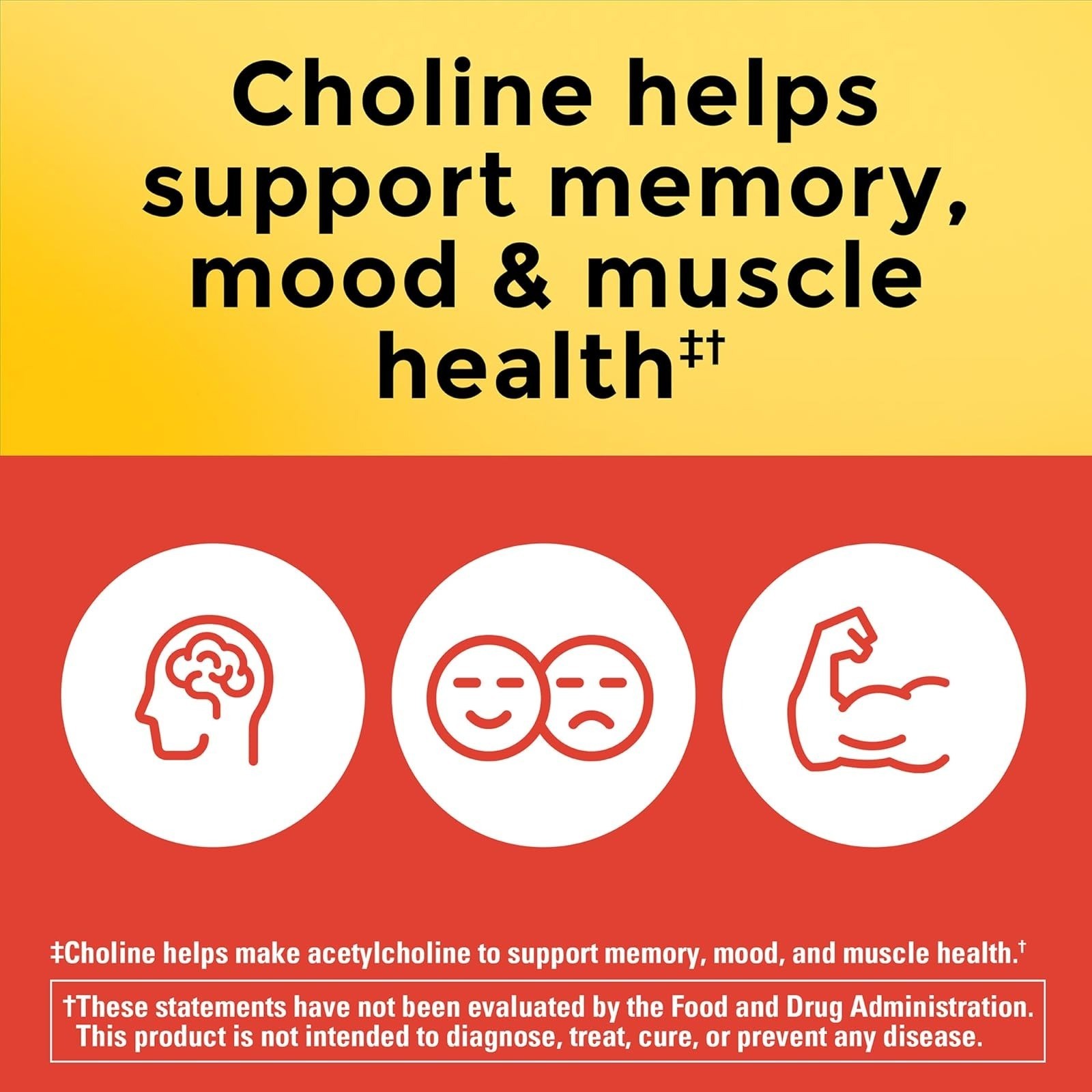 Nature Made Extra Strength Dosage Choline Supplements 800 Mg Per 3 Capsules, Bra