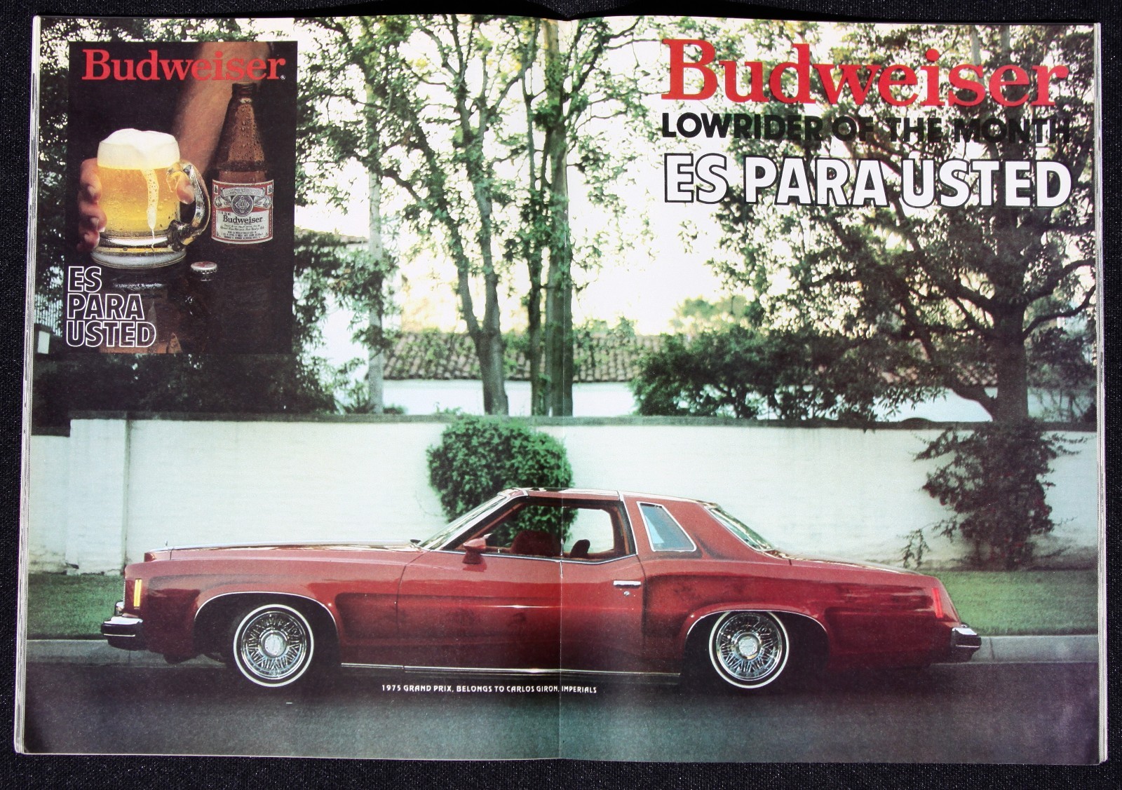 NEW..'81 LRM..4 TH. ANNIV. ISSUE ..