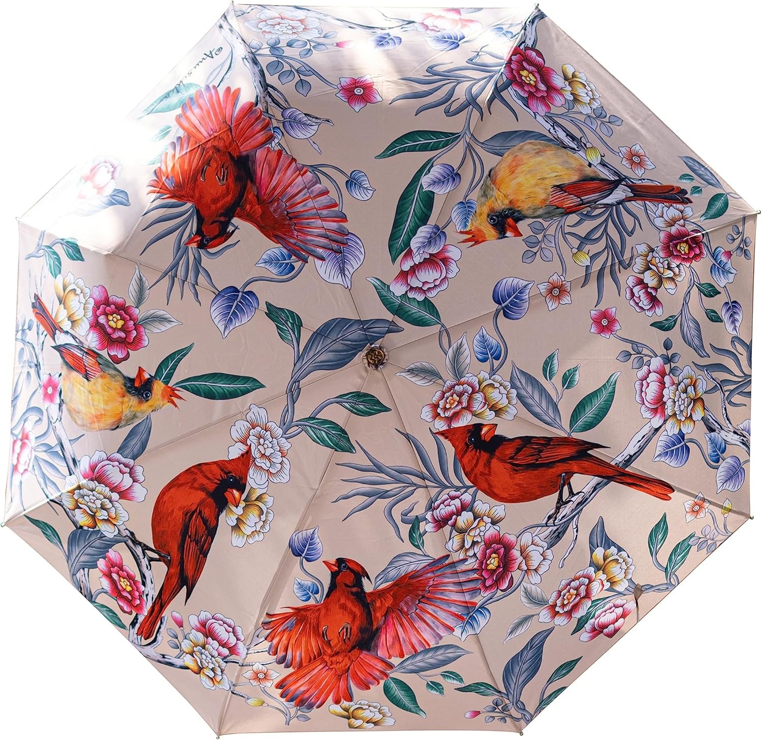 Anuschka Umbrella AUTO Open/Close - UPF 50+ - 38” Waterproof Cardinal Family